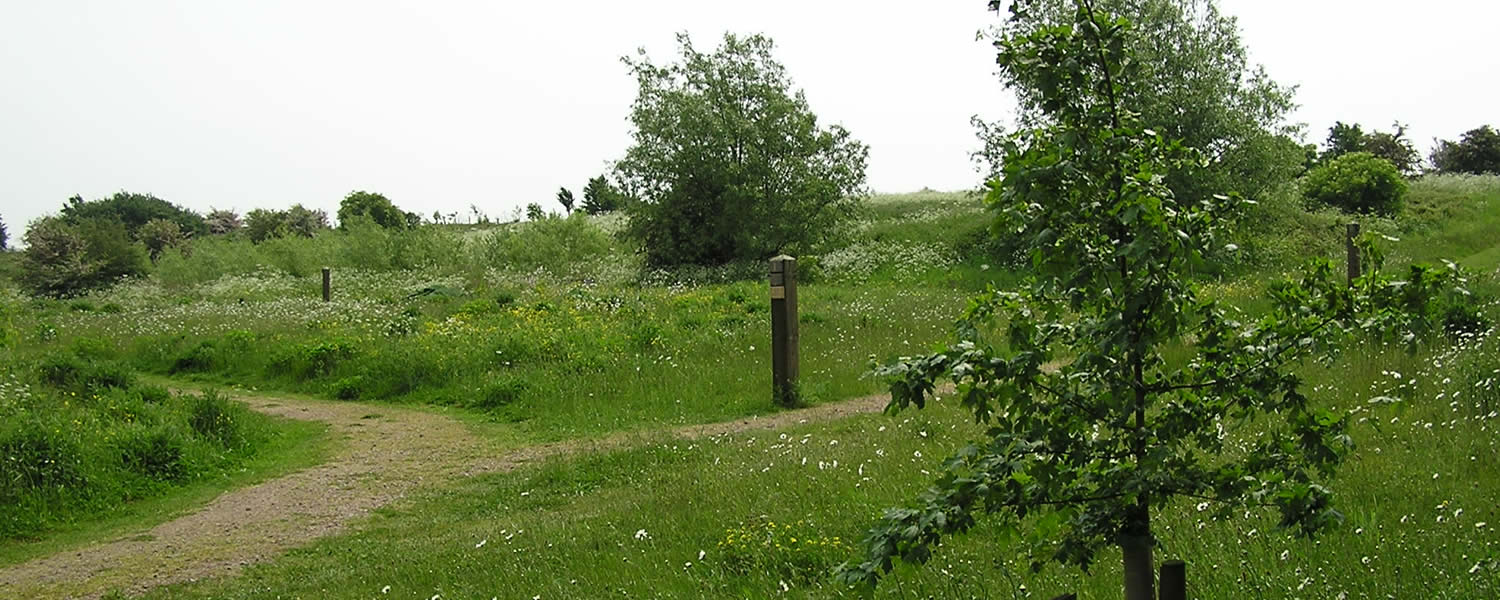 Prestwold Natural Burial Ground NatureSpot